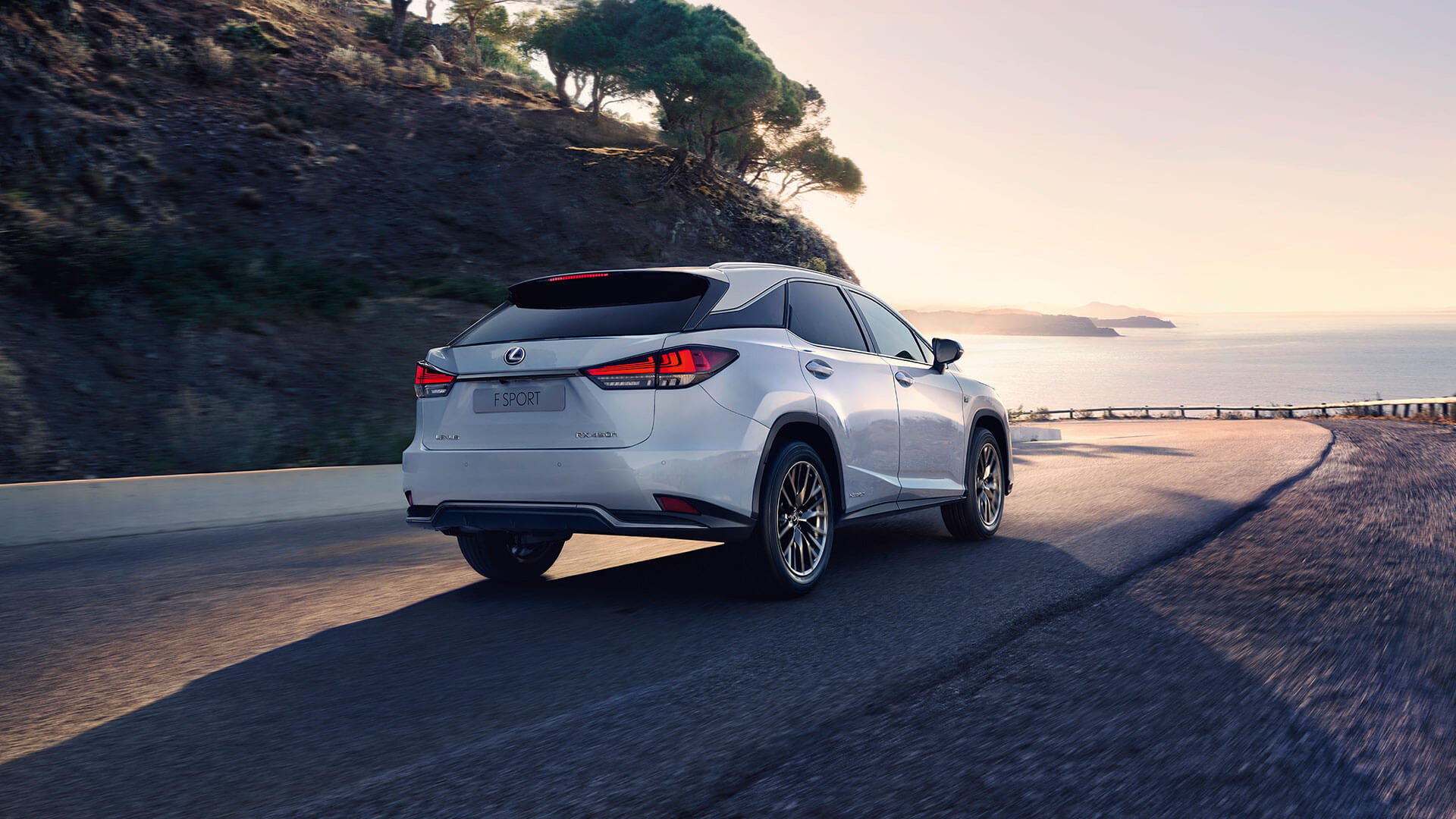 2019 lexus RX gallery 001 exterior