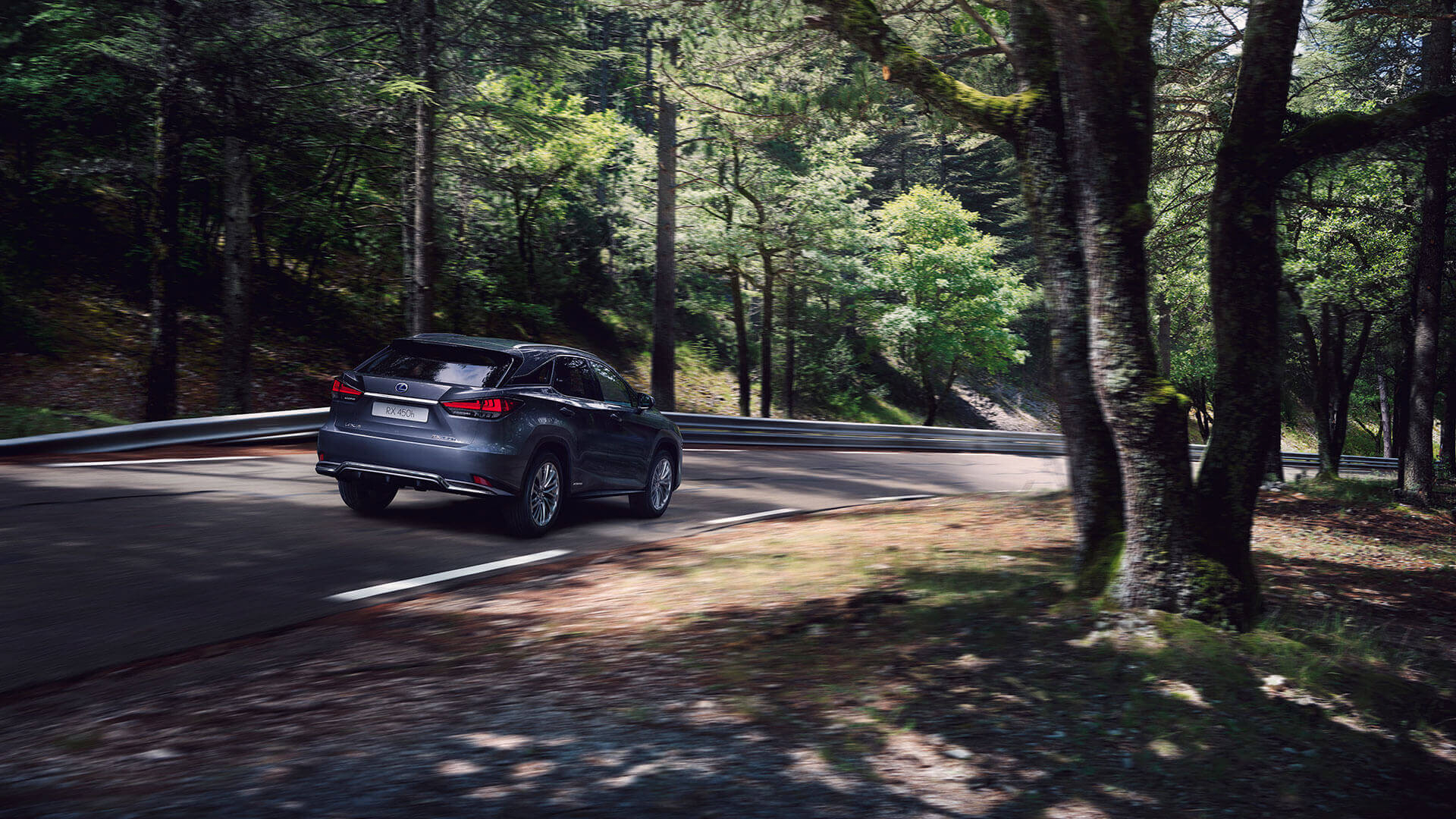 2019 lexus RX gallery 001 exterior