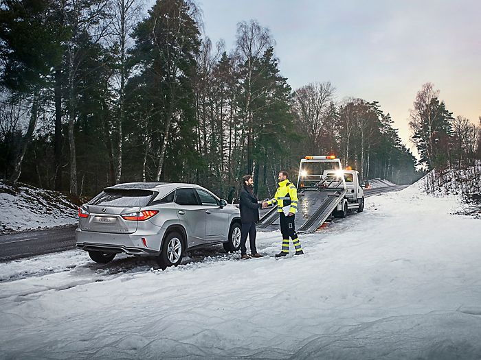 2024 lexus Assistance