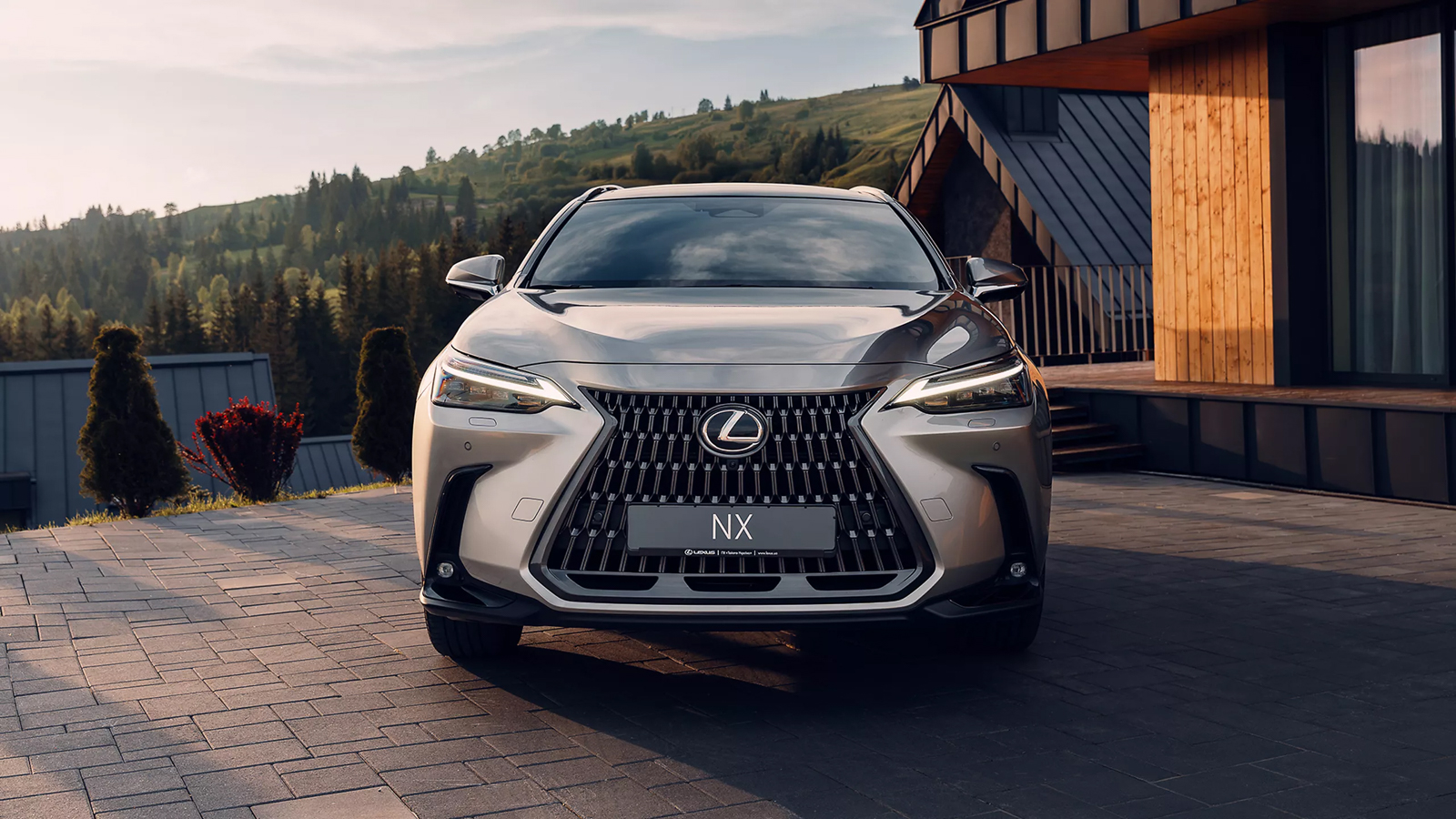 2022 lexus nx gallery